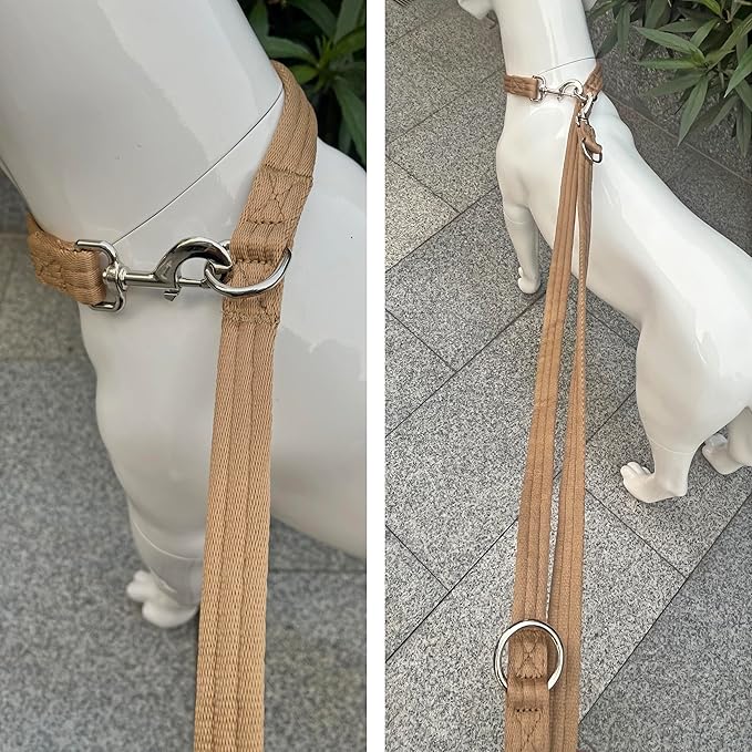 Dog Leash-Multifunctional Double Ended,for Obedience Training Or Distance Work Easy to Use,Lightweight,Soft&Durable Convertible Hands Free,Crossbody,Over Shoulder (Light Military Tan, 2M*2.5CM)