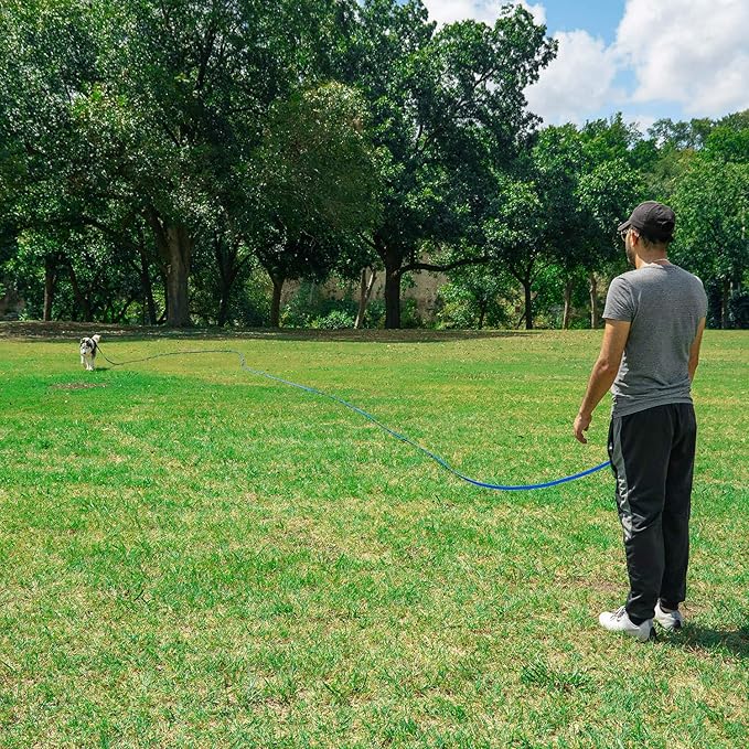 Hi Kiss Dog/Puppy Obedience Recall Training Agility Lead - 15ft 20ft 30ft 50ft 100ft Training Leash - Great for Training, Play, Camping, or Backyard (100 Feet, Red)