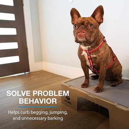 Blue-9 KLIMB Jr. Professionally Designed Dog Training Platform and DIY Guide for Behavior Basics, Made in The USA, Tan