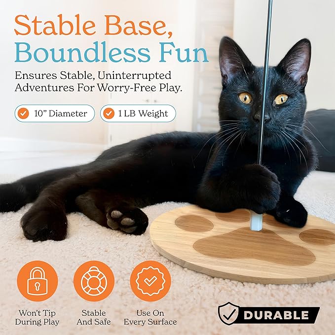 GADGETSOLOGY 9pcs Interactive Cat Toys for Indoor Cats Suction Cup Cat Toys for Indoor Cats Bird Hunting Slefplay Simulation for Kitten Flying Bird Toy Feather Wand Attachments