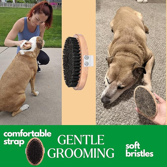 GranNaturals Soft Bristle Dog Brush for Short Haired Dogs & Cats w/Strap - Wooden Handle & Gentle Boar Bristles for Deshedding, Smoothing and Grooming Pet Hair Fur to Give Naturally Shiny Coat