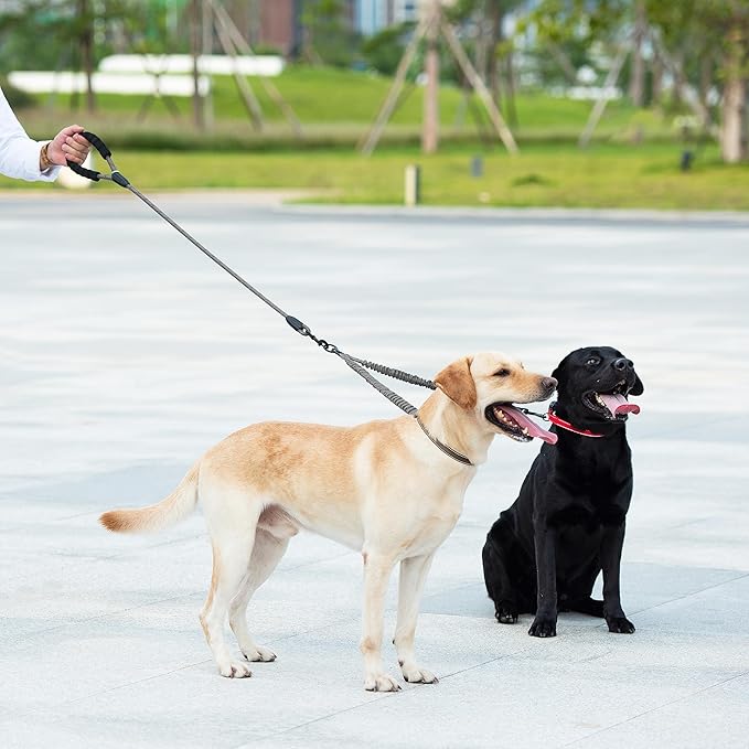 iYoShop Dual Dog Leash - 360° Swivel, No Tangle Walking Leash with Shock Absorbing Bungee for Two Dogs (Large, 25-150 lbs, Grey)