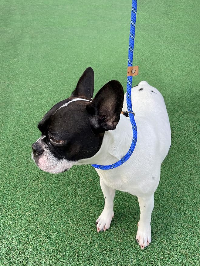 5 FT Slip Lead Dog Leash, Heavy Duty Rope Leash for Small Medium Large Dogs, No Pull Training Lead with Reflective Thread, Strong Comfortable Loop Leash (Blue Stripe, Medium(3/8"))