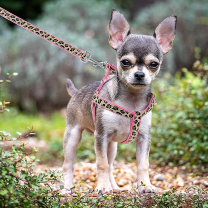 Mile High Life Leopard Dog Harness Collar Leash Set, Adjustable No Pull Dog Halter Harness for Small Breed Dogs, Easy Control for Training Walking (Pink, M Chest 15"-21", Neck 13"-17")
