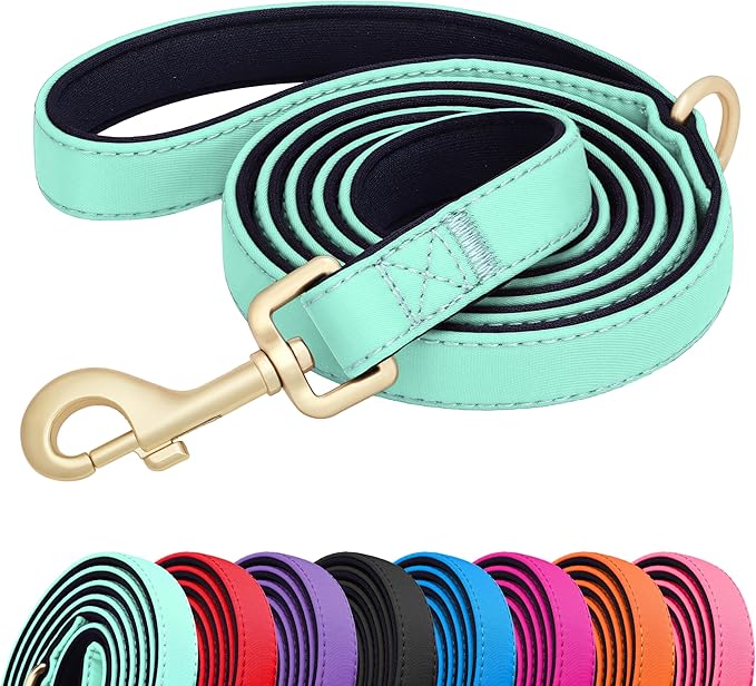 Didog 5FT Colorful Nylon Dog Leash with Soft Full-Length Padding, Lightweight and Durable Pet Leash for Small Dogs, Green, S