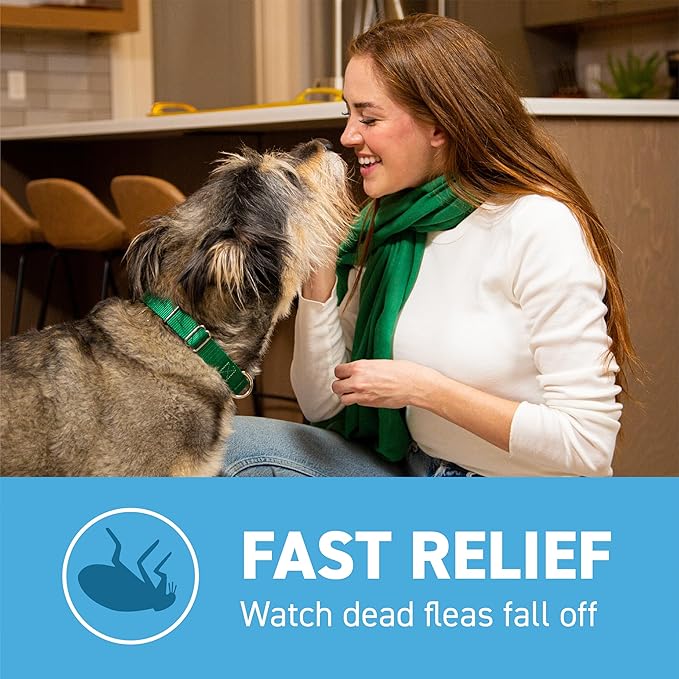 Capstar(nitenpyram) for Dogs Fast-Acting Oral Flea Treatment for Dogs 2-25 lbs, Vet-Recommended Medication Tablets Start Killing in 30 Minutes, 60 Doses