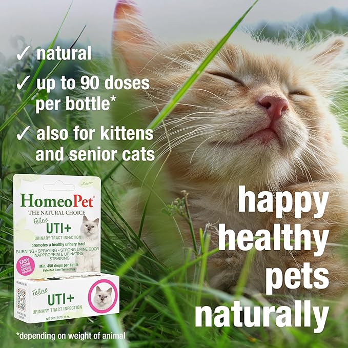 HomeoPet Feline UTI+, Safe and Natural Urinary Tract Supplement for Cats, Feline Urinary Tract Support, 15 Milliliters