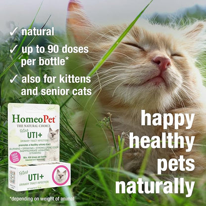 HomeoPet Feline UTI+, Safe and Natural Urinary Tract Supplement for Cats, Feline Urinary Tract Support, 15 Milliliters