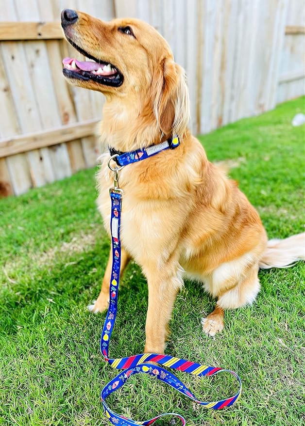 Lucky Love Dog - Adjustable Dog Collar with Easy Click Buckle for Small Ones, Durable, & Comfortable for Male & Female Dogs, Pet Collar for Puppies & Adult Dogs - Mackey, XS