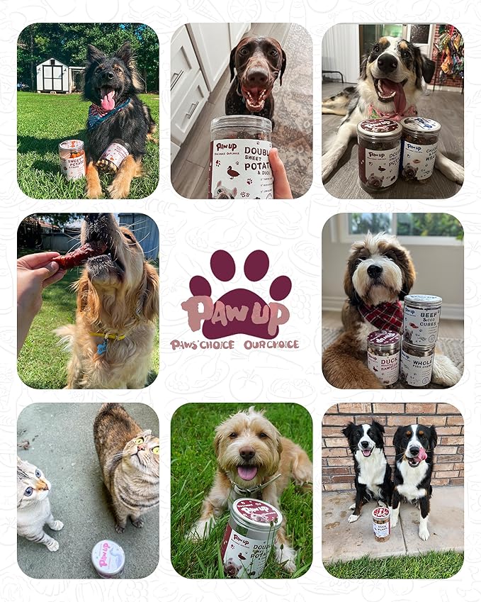 PAWUP Duck & Sweet Potato Duo Dog Treats, Soft Chews for Small & Medium Dogs, High Protein & High Fiber, Gentle on Sensitive Stomachs, Natural Daily Snack with Taurine, 12.5 oz