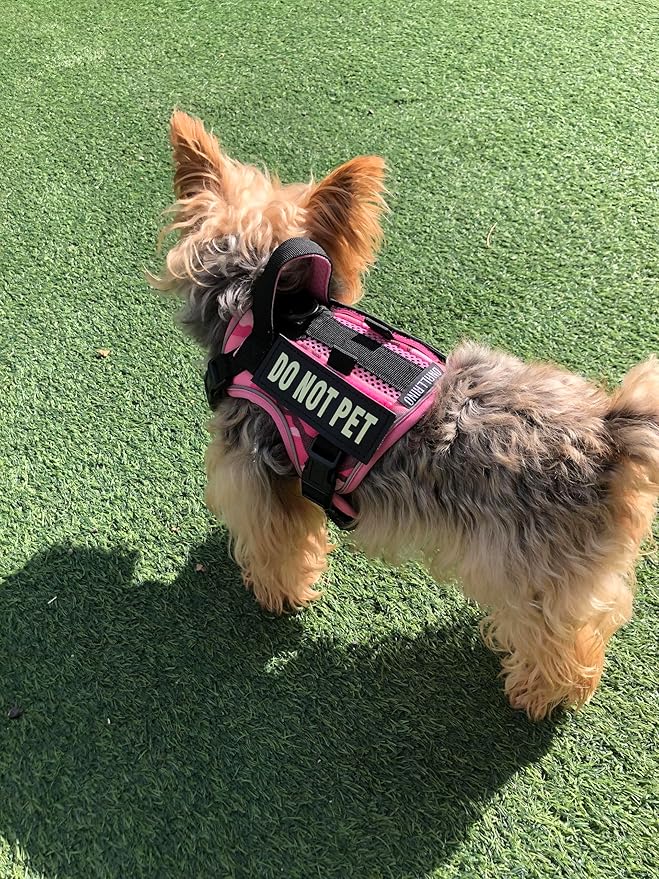Tactical Dog and Cat Harness for XS and Small Puppy, Air Pet Vest No Pull with Reflective Do Not Pet Patches, Breathable Dog Molle Vests for Training Walking Hunting Camo Pink