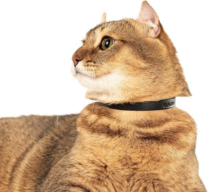 Silicone Cat Collar - Soft, Comfortable, and Lightweight Breakaway Collar with Name Tag Ring for Outdoor Cats and Sensitive Skin Pets by Nuvuq (6 ⅞" to 10 ¼", Black)