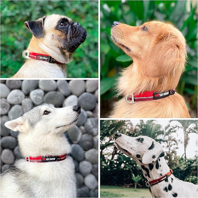 Tuff Pupper Heavy Duty Dog Collar | Tough Dogs Collar | Reflective Collars with Aluminum D-Ring Leash Clip | Separate ID Tag Attachment Keeps Engraved Dog Tags Quiet | Easy Sizing for All Breeds