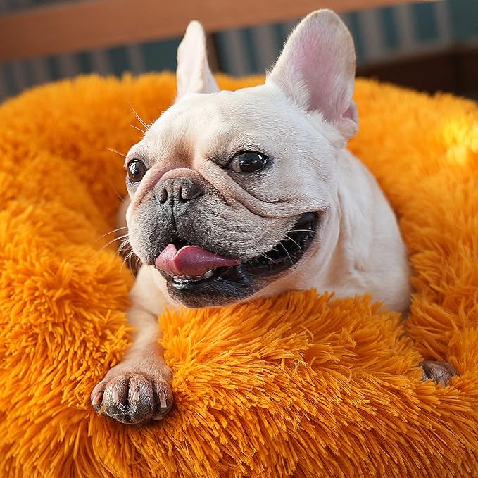 Calming Donut Dogs Beds for Small Dogs Washable,23inch Plush Round Pet Bed for Cozy Sleep,Fluffy Faux Fur Large Cat Bed,Fits up to 25 lbs Pets,Orange