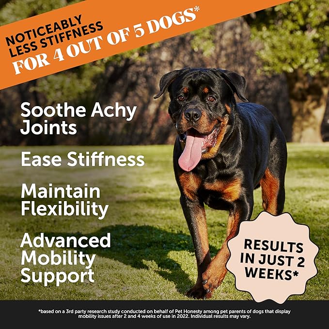Pet Honesty Hip & Joint Health Max Strength – Dog Joint Support Chews with Glucosamine Chondroitin & Omega-3s – Joint Supplement for Dogs to Support Mobility, Flexibility & Comfort – Bacon (90 ct)