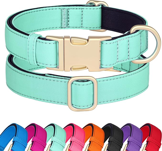 Didog Soft Padded Dog Collars for Medium Dogs, Colorful and Durable Dog Collar with Quick Release Buckle, Light and Breathable for Daily Walking, Teal, M