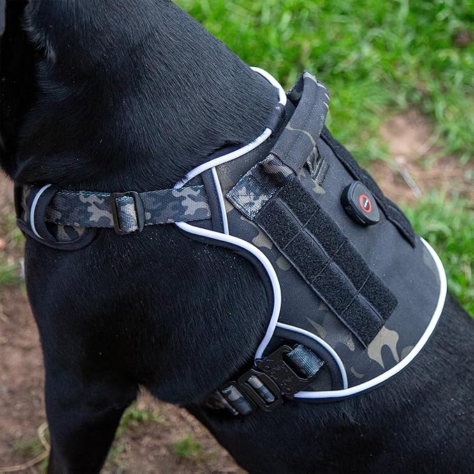 Ragnarok Multicam Black Tactical Dog Harness with LED Light, Durable Luxury Vets, MOLLE Panels, Service Dog Vest Small, Medium, XL, XXL Dogs