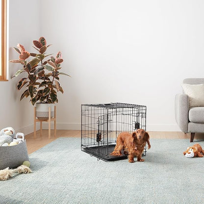 Amazon Basics - Durable,Foldable Metal Wire Dog Crate with Tray, Double Door, Divider, 24 x 18 x 20 in, Black