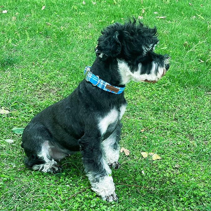 Unique Style Paws Metal Buckle Blue Plaid Collar - Durable & Cute for Small, Medium & Large Dogs