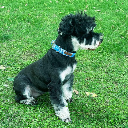 Unique Style Paws Metal Buckle Blue Plaid Collar - Durable & Cute for Small, Medium & Large Dogs