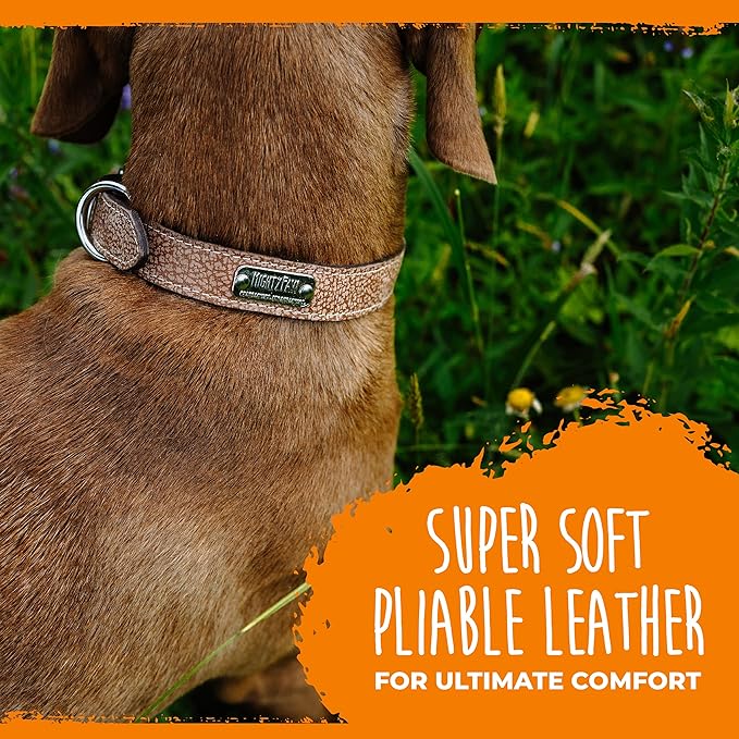 Mighty Paw Leather Dog Collar - Genuine Distressed Leather - Strong Metal Buckle - Ultimate Comfort - Modern Style for All Dogs Breeds - Comfort Puppy Collar - (XLarge - Lite Brown)