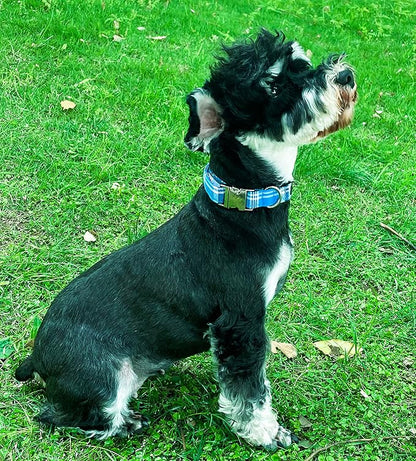 Unique Style Paws Metal Buckle Blue Plaid Collar - Durable & Cute for Small, Medium & Large Dogs