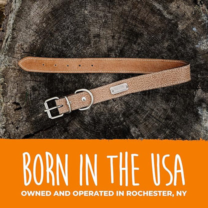 Mighty Paw Leather Dog Collar - Genuine Distressed Leather - Strong Metal Buckle - Ultimate Comfort - Modern Style for All Dogs Breeds - Comfort Puppy Collar - (Medium - Lite Brown)