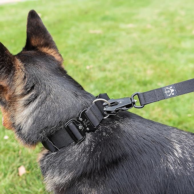 Operation Good Boy Tactical Dog Collar – Durable Military-Grade Nylon with Quick Release Buckle & Training Handle – Adjustable for Medium and Large Dogs (Black)