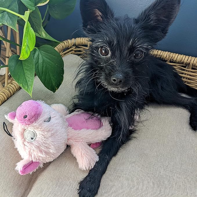 Huxley & Kent Slappies for Dogs | Piggie Smalls (Small) | Squeak & Shake Dog Toy | No Stuff Squeaky Toy, TPR Ball in Head | Simulates Hunting Nature for Dogs