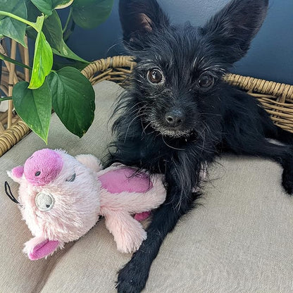 Huxley & Kent Slappies for Dogs | Piggie Smalls (Small) | Squeak & Shake Dog Toy | No Stuff Squeaky Toy, TPR Ball in Head | Simulates Hunting Nature for Dogs