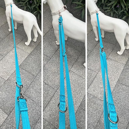 Dog Leash-Multifunctional Double Ended,for Obedience Training Or Distance Work Easy to Use,Lightweight,Soft&Durable Convertible Hands Free,Crossbody,Over Shoulder (Blue, 2M*2.5CM)