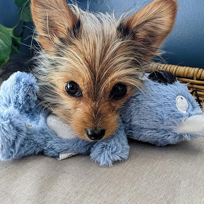 Huxley & Kent Slappies for Dogs | Kirby Koala (Small) | Squeak & Shake Dog Toy | No Stuff Squeaky Toy, TPR Ball in Head | Simulates Hunting Nature for Dogs