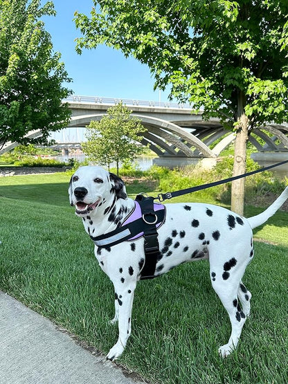 ShawnCo Essential Dog Harness, No-Pull Pet Vest with 3 Leash Clips, No Choke, Reflective, Adjustable and Padded, for Easy Walking and Training for Small, Medium and Large Dogs (ICY Lilac, M)