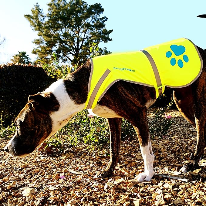 SafetyPUP XD Dog Reflective Vest – Hi-Vis Fluorescent Visibility That Helps to Safeguard Your Pet On/Off Leash in Urban & Rural Areas (Yellow, Medium)